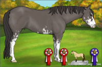 Horse Color:Smoky Grullo Sabino 