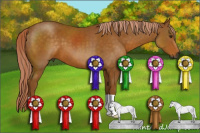 Horse Color:Gray Palomino 