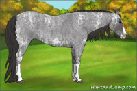 Horse Color:Smoky Blue Ice Roan Splash 