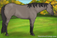 Horse Color:Smoky Grullo Rabicano 