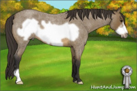 Horse Color:Buckskin Roan Frame 
