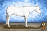 Horse Color:White Spotted Brown Roan Splash Frame Appaloosa 
