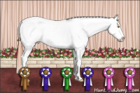 Horse Color:Amber Champagne Roan Snowcap Rabicano 