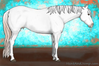 Horse Color:Liver Chestnut Ice Appaloosa 