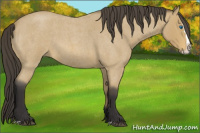 Horse Color:Buckskin Roan Splash 