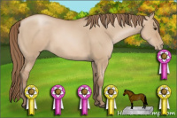 Horse Color:Grullo Pearl Sabino Rabicano 