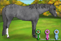 Horse Color:Black Varnish Rabicano 