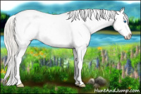 Horse Color:Silver Amber Cream Champagne Roan Frame Appaloosa 