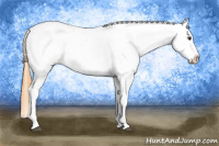 Horse Color:Buckskin Roan Dun Blanket 