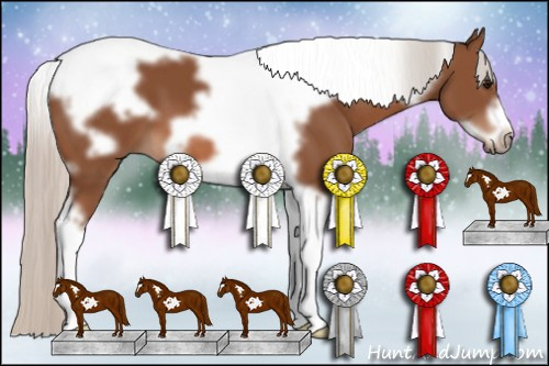 Horse Color: Silver Bay Tobiano Frame 