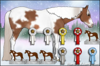 Horse Color:Silver Bay Tobiano Frame 