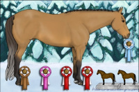 Horse Color:Buckskin 