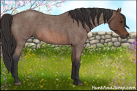 Horse Color:Bay Roan 
