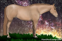 Horse Color:Black Pearl 