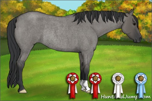 Horse Color: Grullo Roan Rabicano 