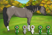 Horse Color:Grullo Tobiano Rabicano 
