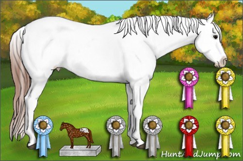 Horse Color: Brown Near Leopard 