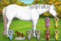 Horse Color:Brown Near Leopard 