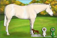 Horse Color:White Spotted Gold Cream Champagne