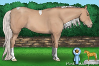Horse Color:Silver Sable Champagne Tobiano