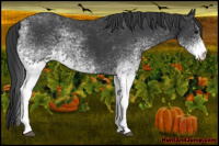 Horse Color:White Spotted Brown 