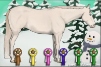 Horse Color:Perlino 