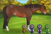 Horse Color:Brown 