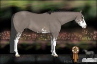 Horse Color:Grullo Sabino