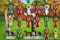 Horse Color:White Spotted Silver Brown Sabino 