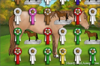 Horse Color:Bay Pearl Sabino