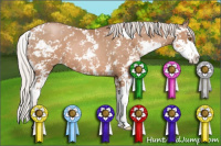 Horse Color:Silver Black Pearl Sabino 