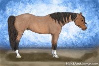 Horse Color:Bay Roan 