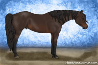 Horse Color:Gray Bay 