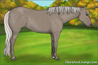 Horse Color:Silver Smoky Grullo 