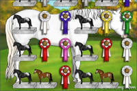 Horse Color:White Spotted Buckskin Pearl Dun Appaloosa 