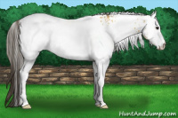 Horse Color:White Spotted Buckskin