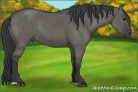 Horse Color:Grullo Rabicano 