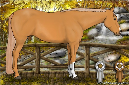 Horse Color: Chocolate Palomino 