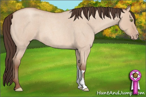 Horse Color: Amber Champagne Roan Dun 