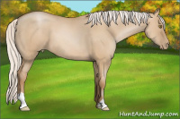 Horse Color:Silver Grullo Pearl 