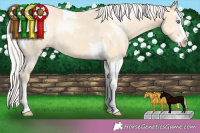 Horse Color:Silver Classic Cream Champagne Dun Splash Tobiano 