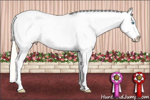 Horse Color: Classic Cream Champagne Pearl Splash Blanket Rabicano 