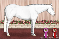 Horse Color:Classic Cream Champagne Pearl Splash Appaloosa Rabicano 