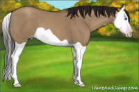 Horse Color:Gray Classic Champagne Dun Splash 