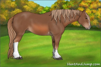 Horse Color:Liver Chestnut Sabino Tobiano 