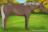 Horse Color:Silver Black 