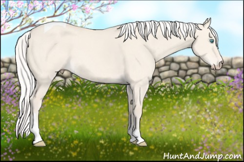 Horse Color: Silver Perlino Dun Tobiano 