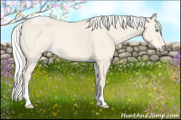 Horse Color:Silver Perlino Dun Tobiano