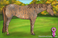 Horse Color:Black Ice  Brindle