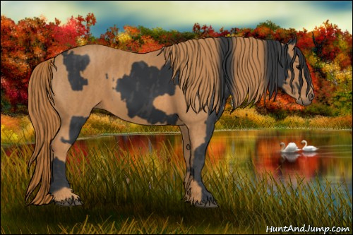 Horse Color: Black  Brindle